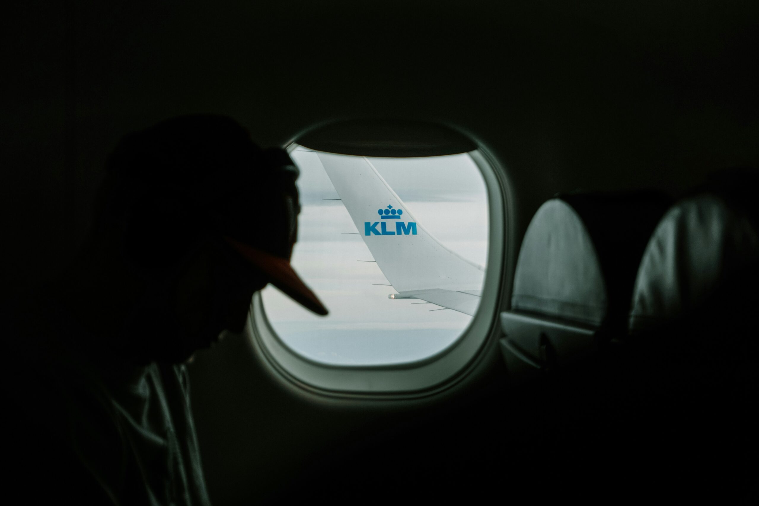 KLM case - Thespidermonkeys